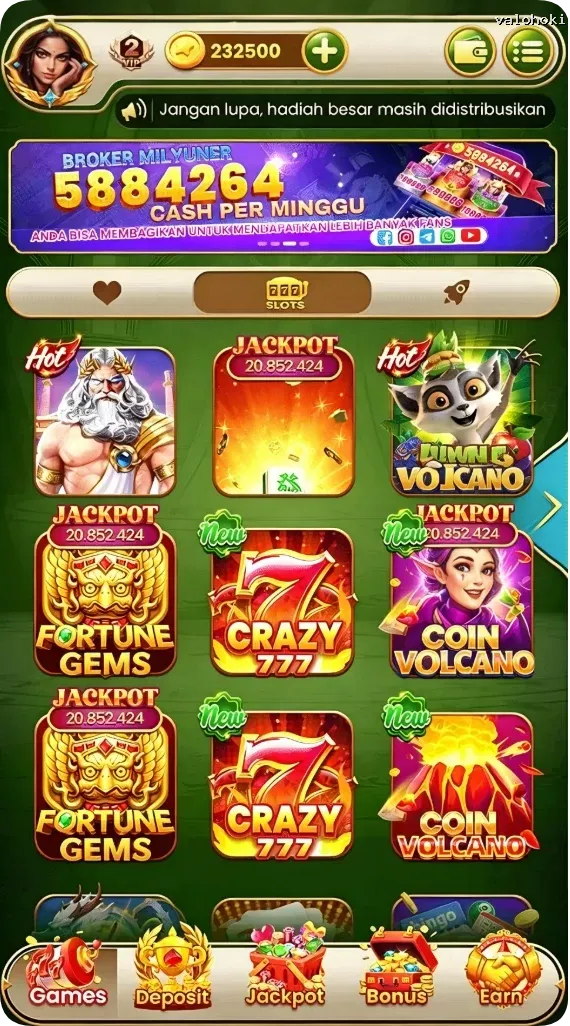 valohoki APK